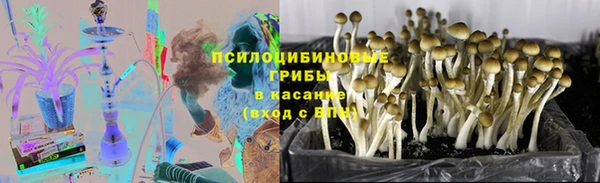 MDMA Няндома