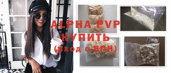 Альфа ПВП Новозыбков