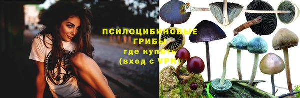крисы Новодвинск