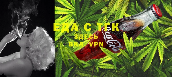 крисы Новодвинск