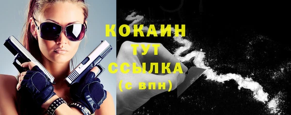 крисы Новодвинск