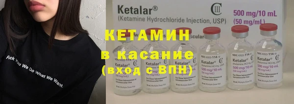 крисы Новодвинск