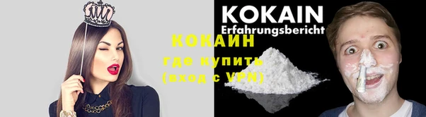 крисы Новодвинск