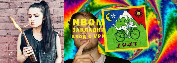 крисы Новодвинск