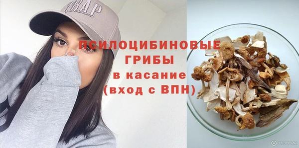 ГАЛЛЮЦИНОГЕННЫЕ ГРИБЫ Новокубанск
