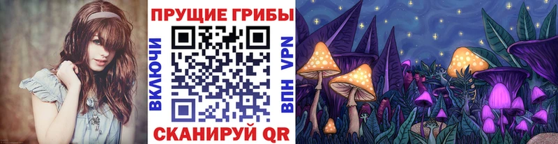 Галлюциногенные грибы ЛСД  mega ТОР  Тулун 