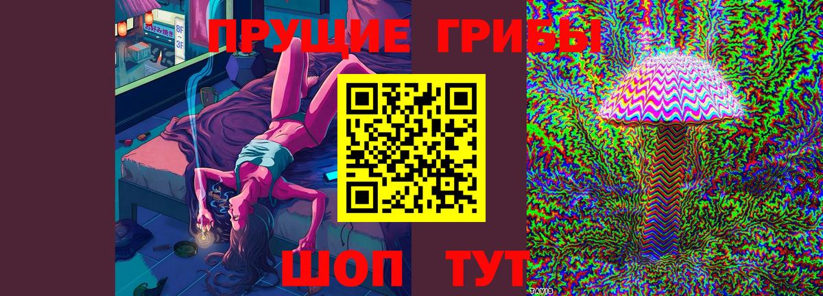 Тулун  Псилоцибиновые грибы Psilocybine cubensis  Псилоцибиновые грибы Cubensis  Вход с VPN 