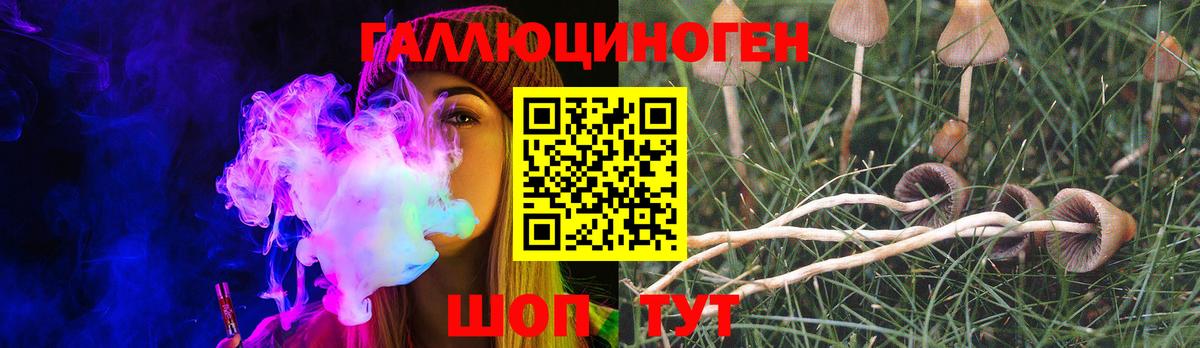 Псилоцибиновые грибы мухоморы Тулун
